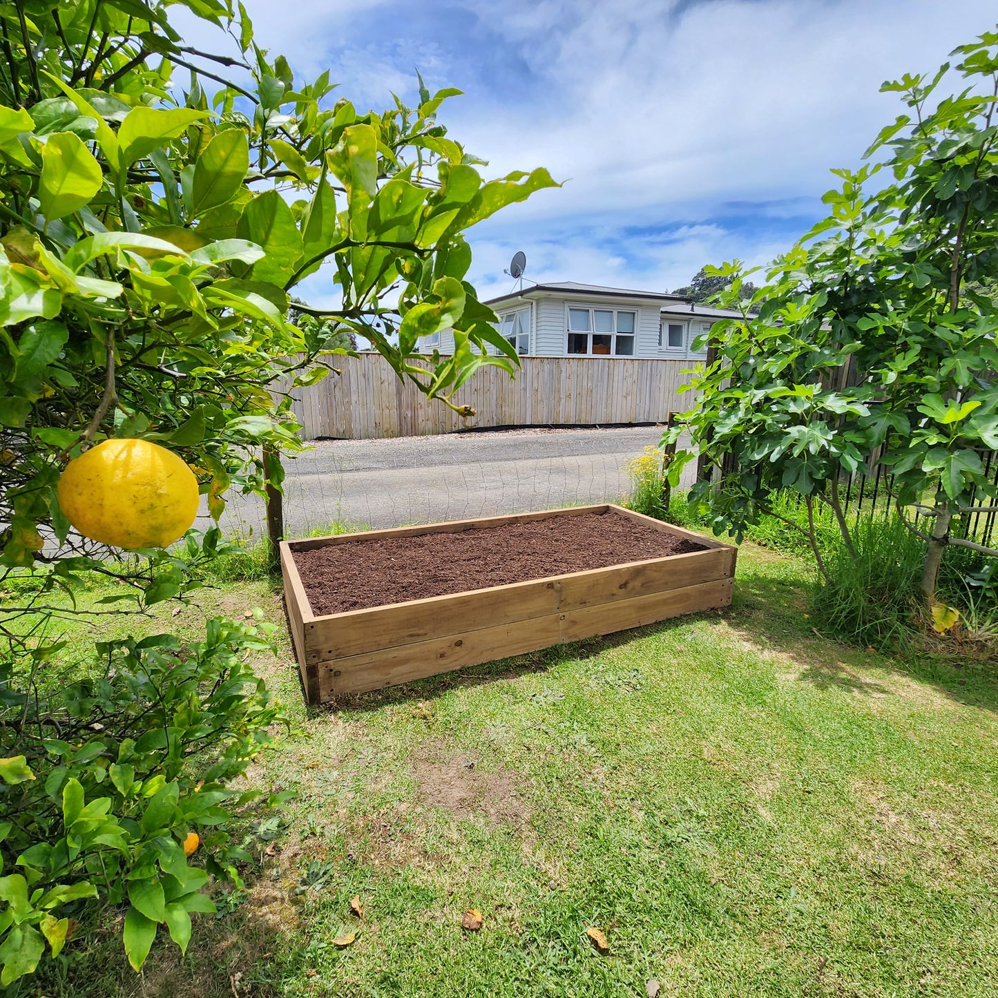 Timber Raised Gardens