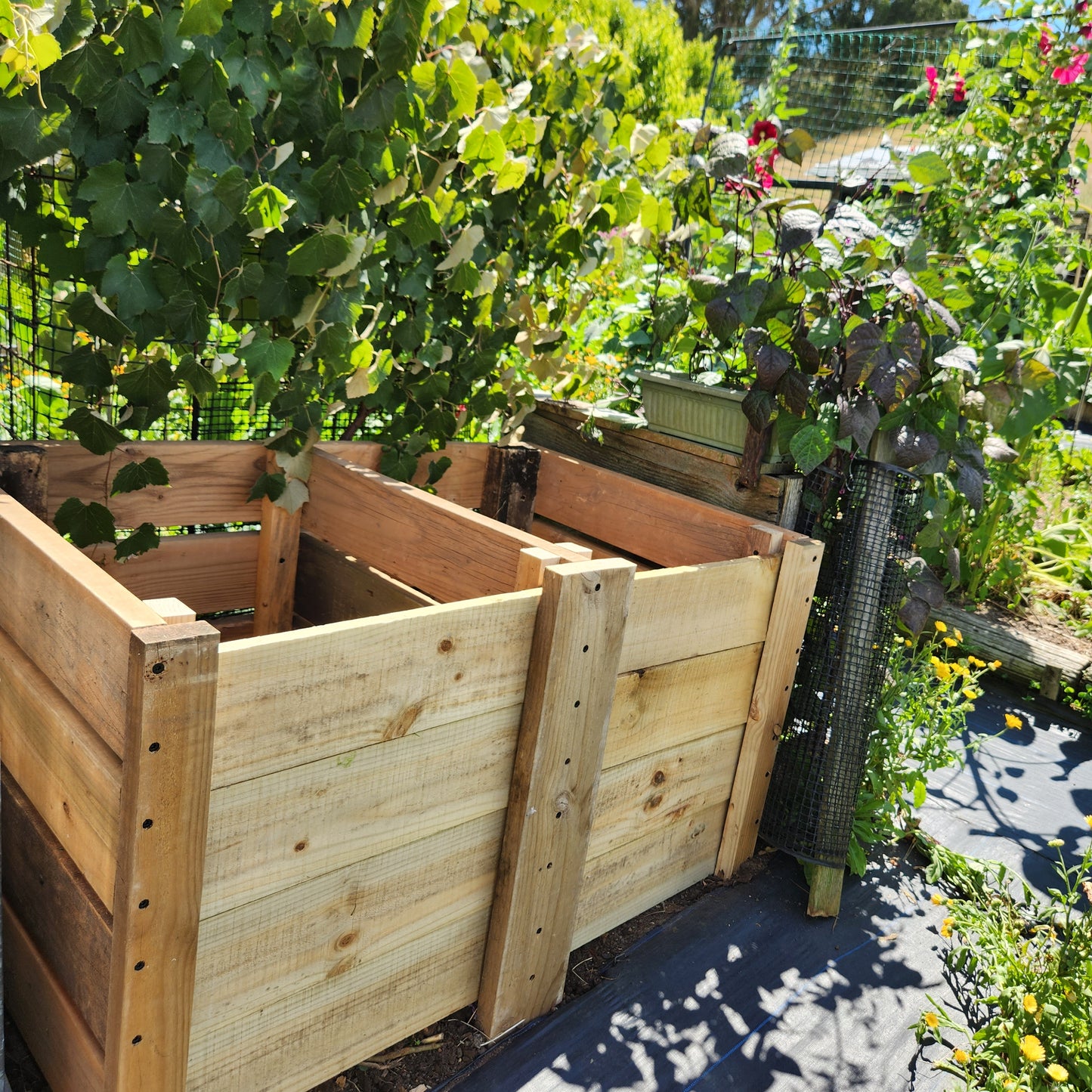 Compost Stations 🪱