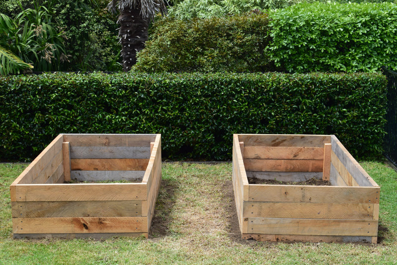 Corner perspective of macrocarpa garden system