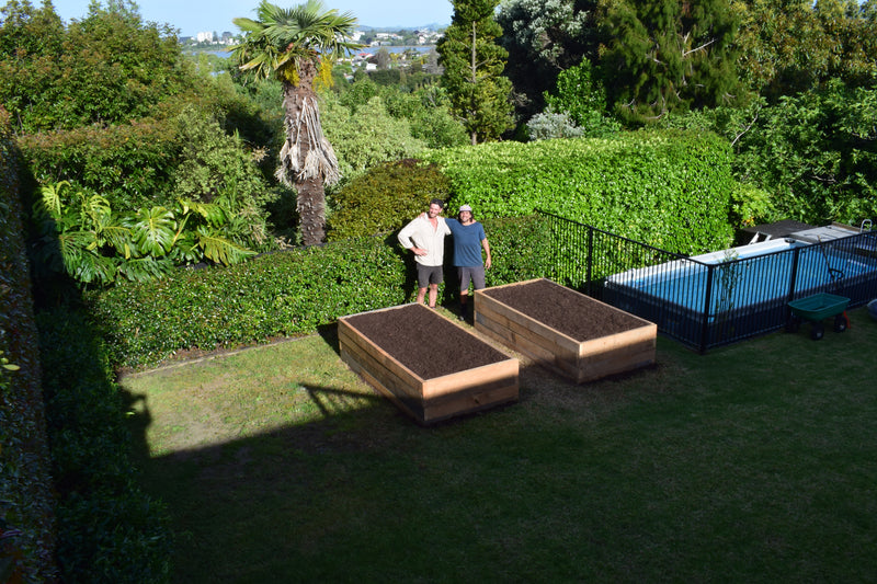 Ready-to-plant macrocarpa beds