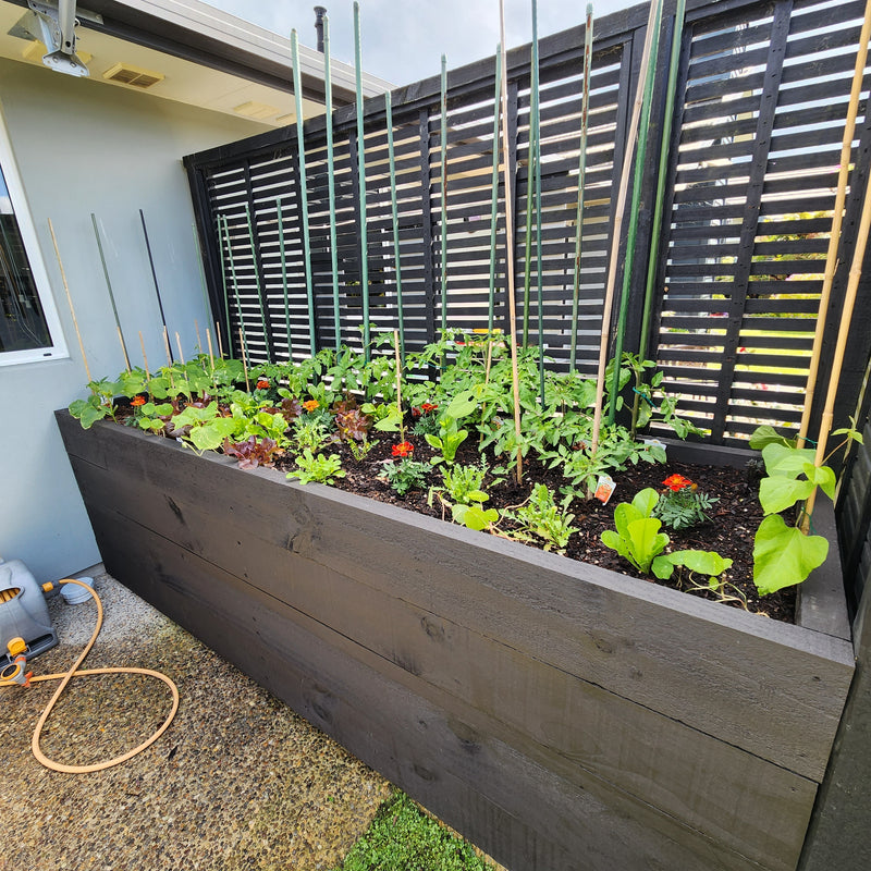 Lush planter overflowing with mature herbs