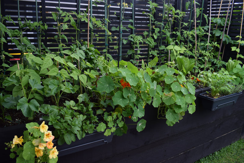 Planter showing integrated bench seat