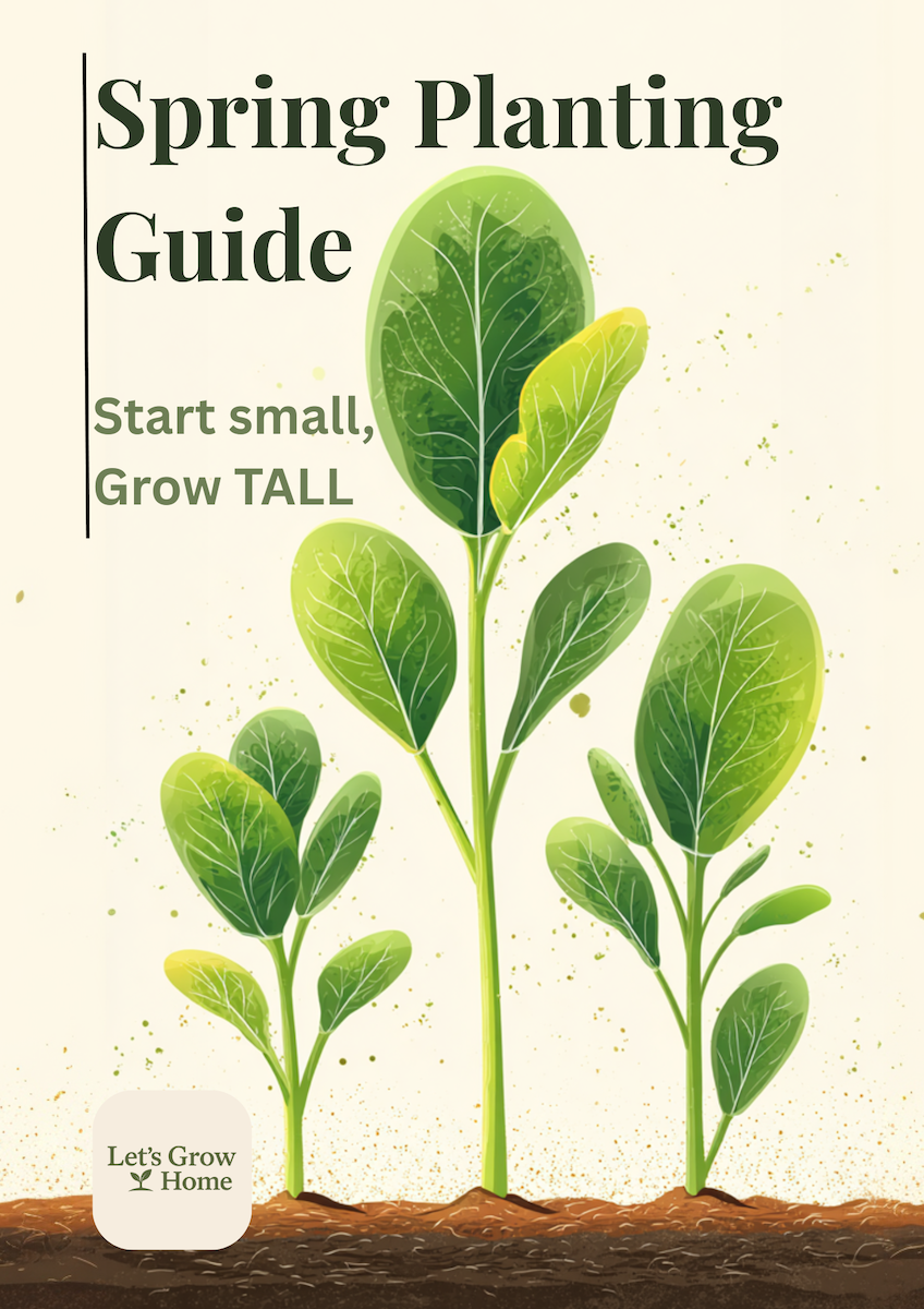 Spring Planting Guide cover artwork
